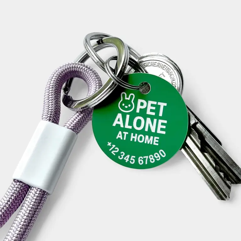 Grüner personalisierter Notfallkontaktanhänger für Haustiere aus Kunststoff mit weißer Gravur ‚Pet alone at home‘, Haustier-Icon und silbernem Schlüsselring